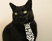 角斗士迪亚斯，罗马竞技场击碎北方巨兽，草根英雄淬火成钢